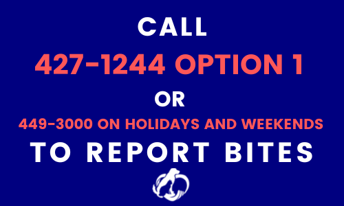 CALL_427-1244_OPTION_1_OR_449-3000_ON_HOLIDAYS_AND_WEEKENDS_TO_REPORT_BITES.png
