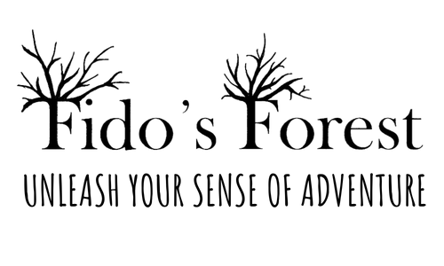 Fidos Fortest full logo transparant background
