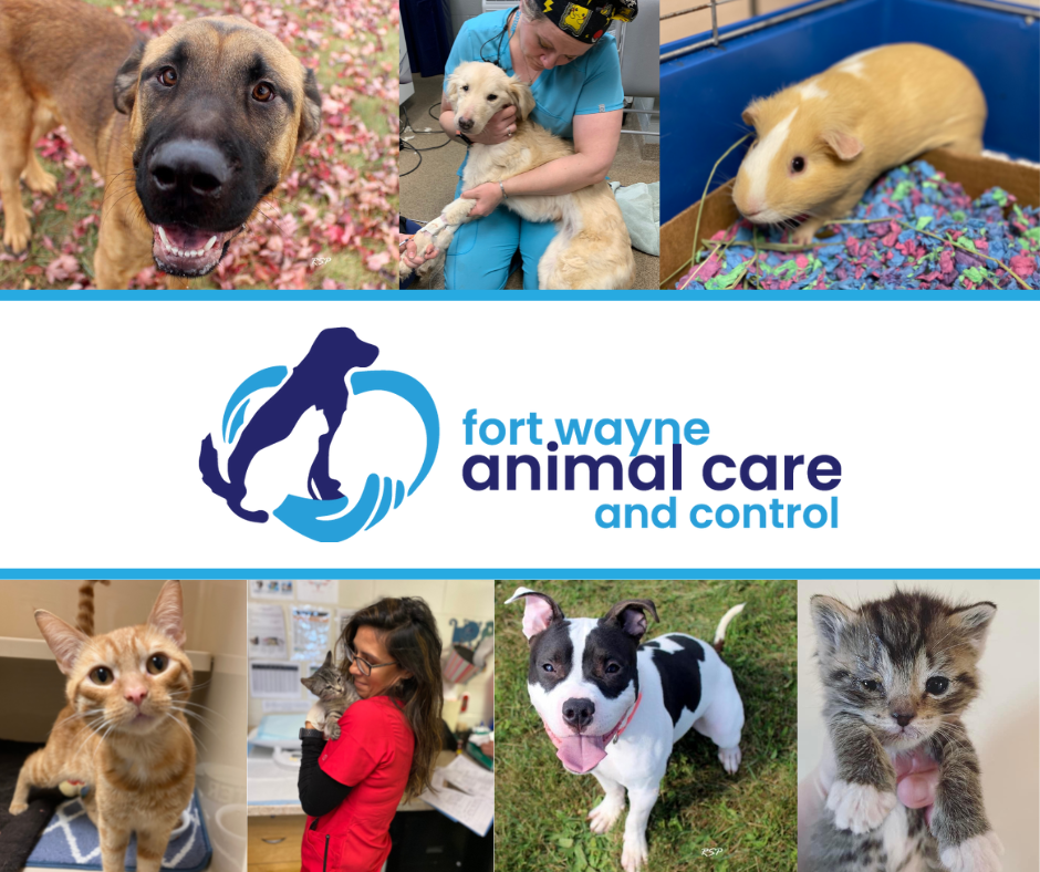 Animal care and store control