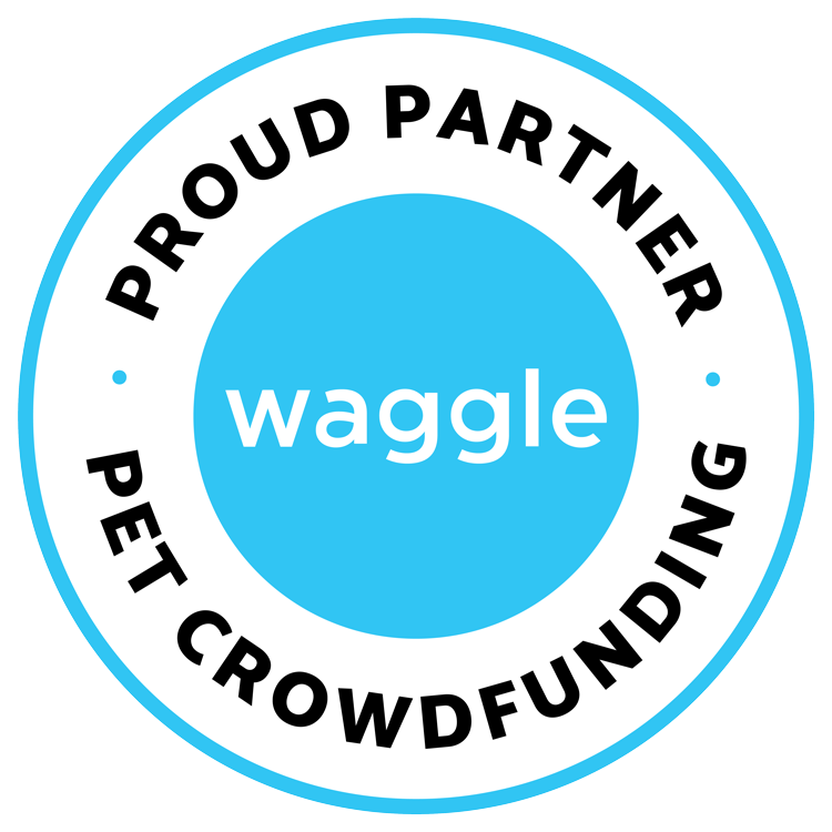 Waggle Partner Logo COLOR