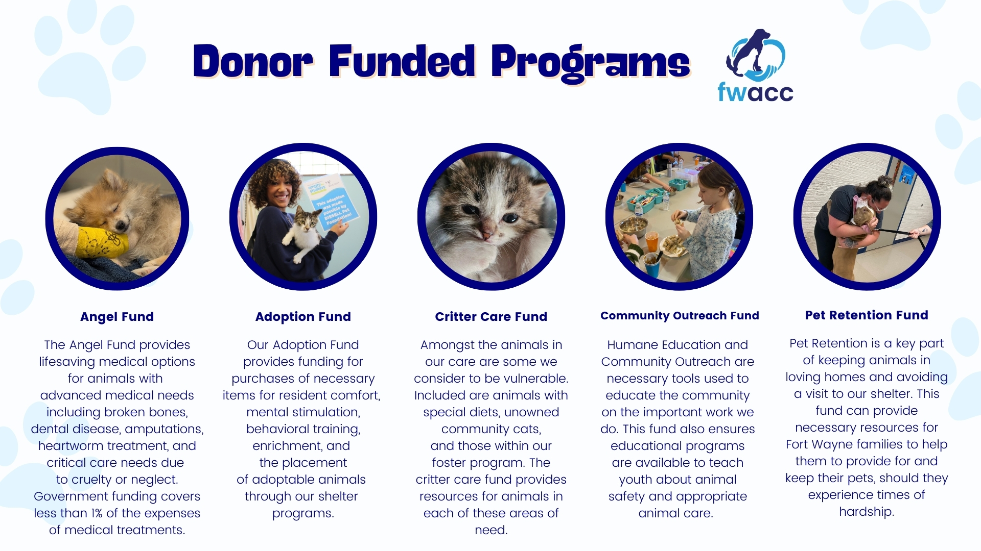 Angel Fund