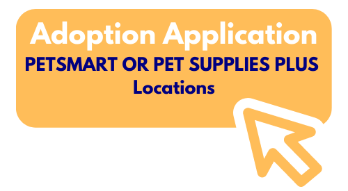 Offsite Adoption Application