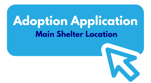 adoption app main location