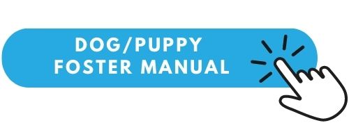 dog puppy foster manual