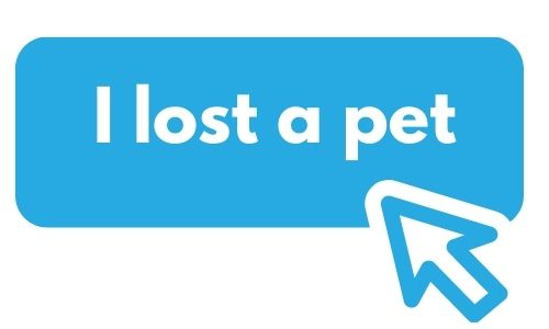 i lost a pet