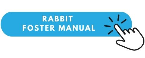rabbit foster manual