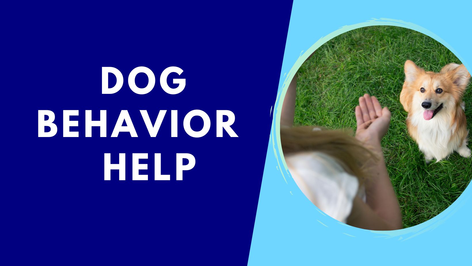 Dog Behavio Help Graphic Update