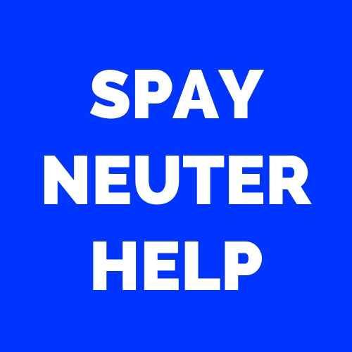 neuter help