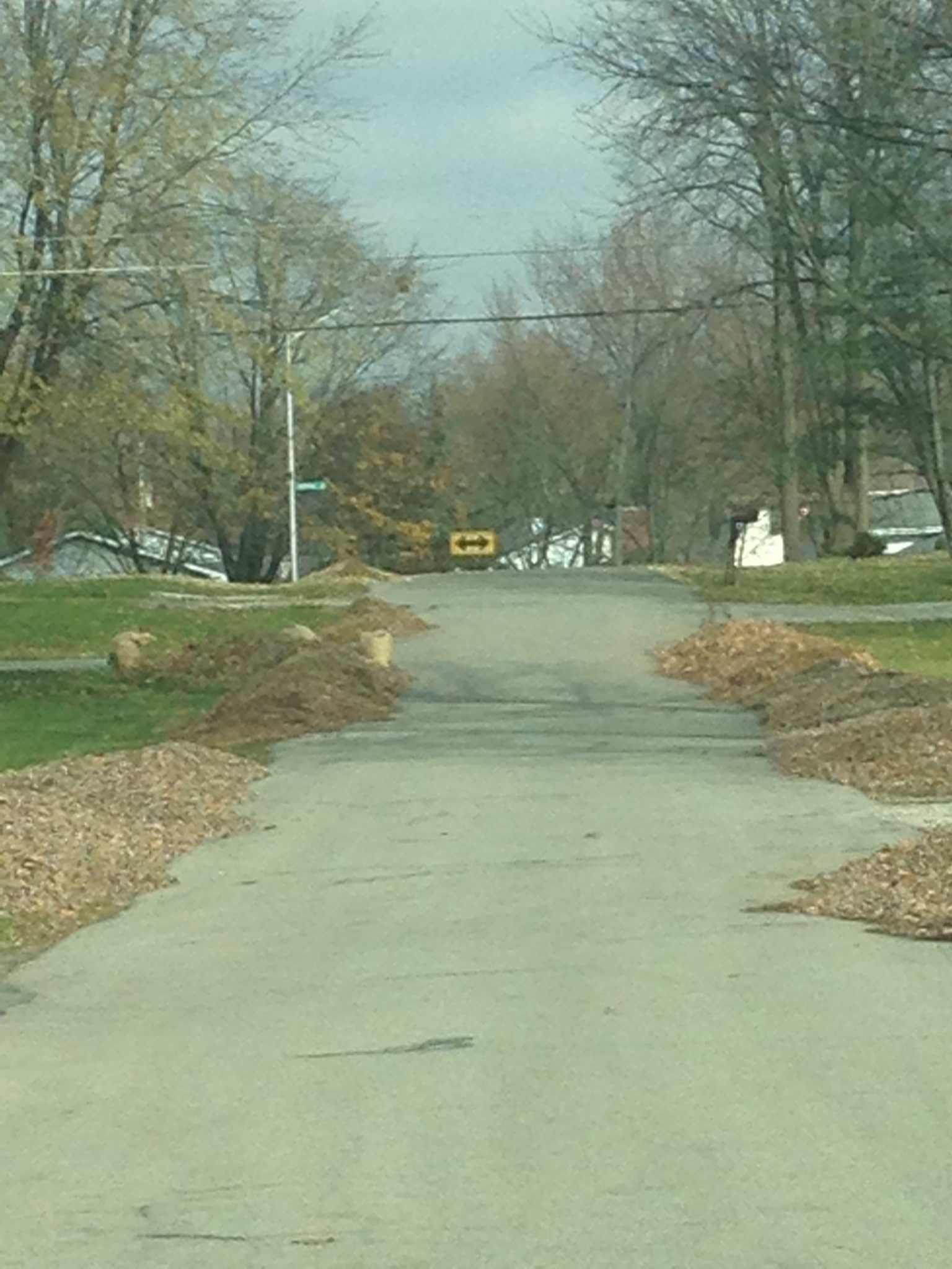 Daily Leaf PickUp Collection City of Fort Wayne