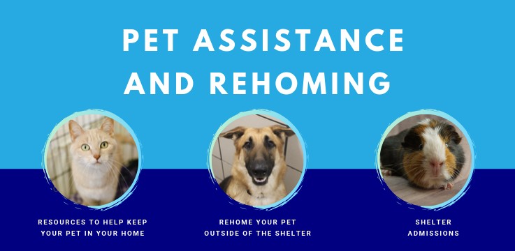 Pet Assistance and Rehoming Services
